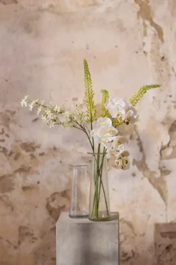 Eremurus Gul