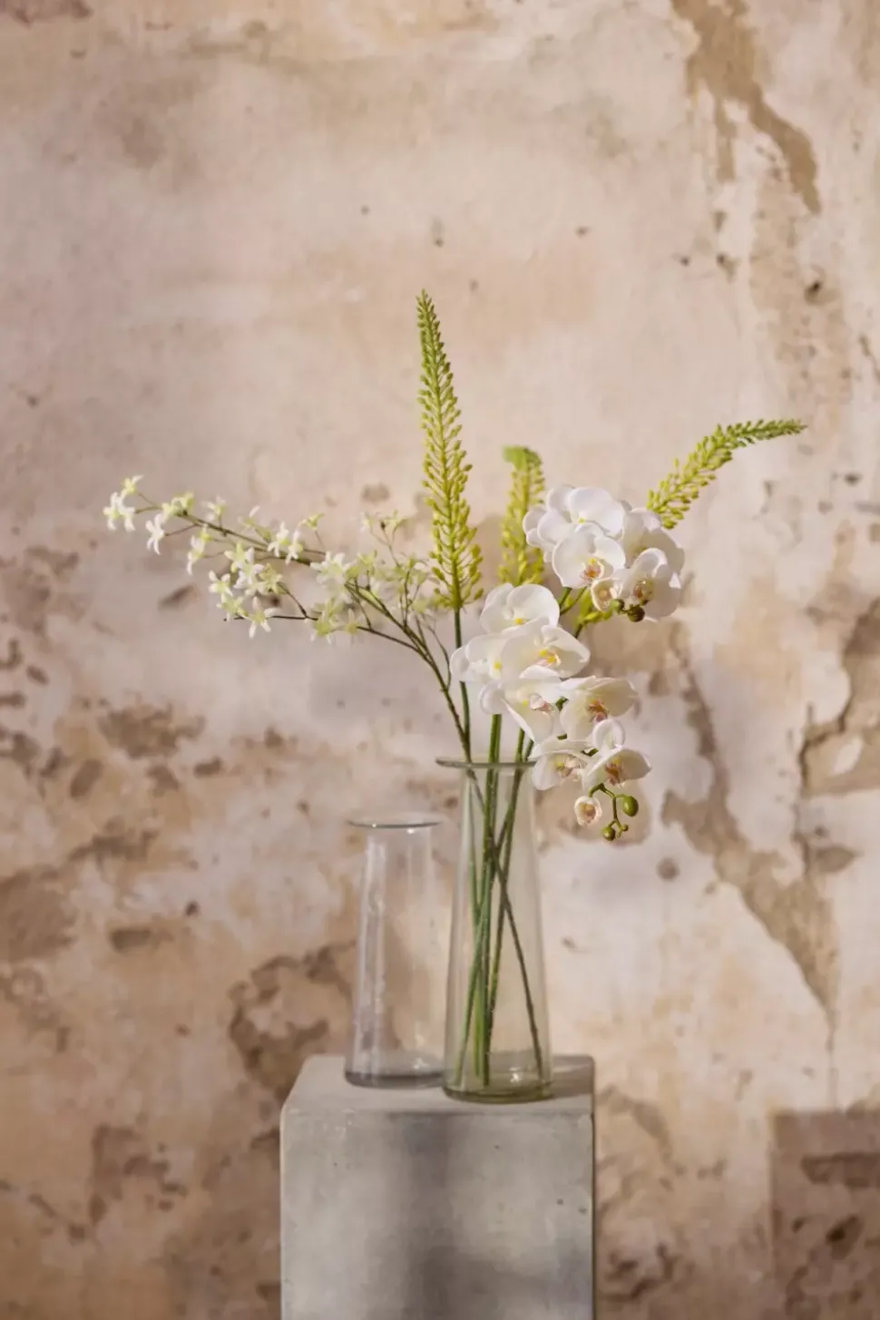 Eremurus Gul