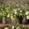 Eremurus Hvit H75