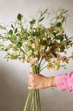 Erteblomst Fersken H69