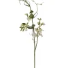Erteblomst Hvit H69