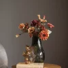 Eucalyptus Brun H60