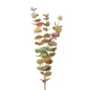 Eucalyptus Grønn H60