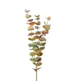 Eucalyptus Grønn H60