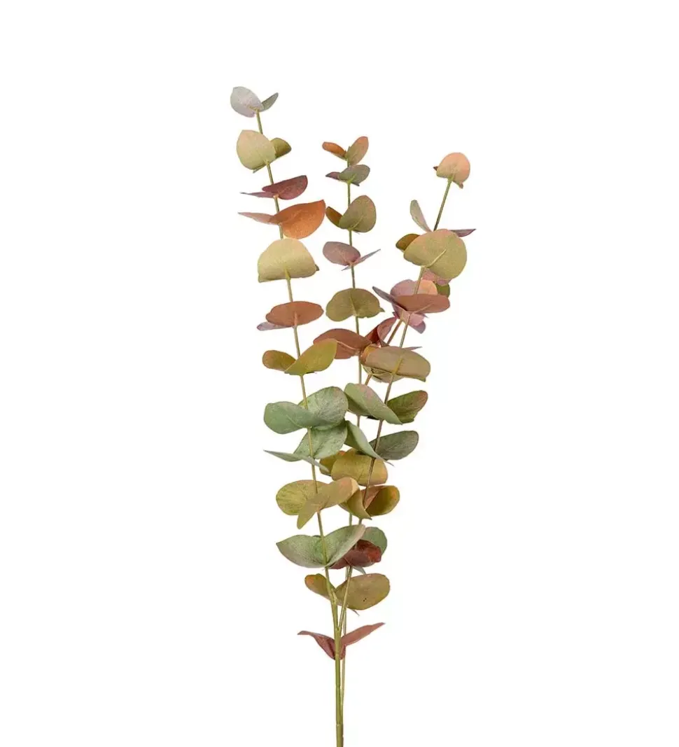 Eucalyptus Grønn H60