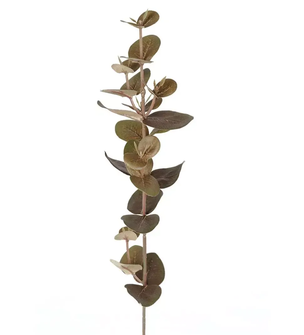 Eucalyptus H40cm