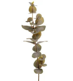 Eucalyptus H40 Grønn