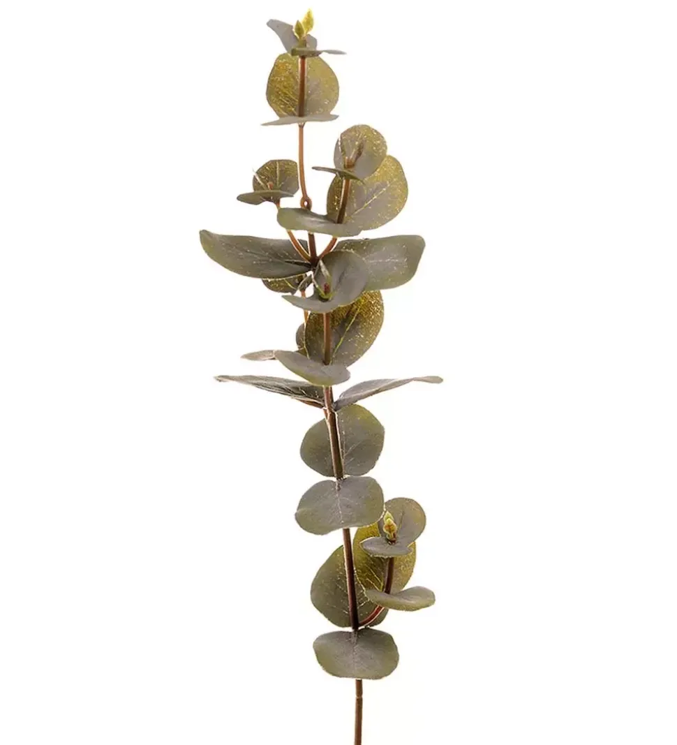 Eucalyptus H40 Grønn