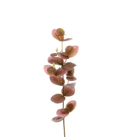 Eucalyptus H40 Lilla