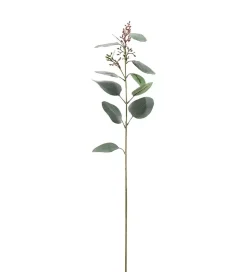 Eukalyptus Flerfarget H87