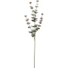Eukalyptus Grønn H60