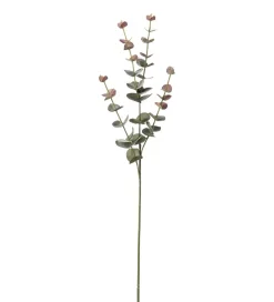 Eukalyptus Grønn H60