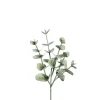 Eukalyptus H25cm