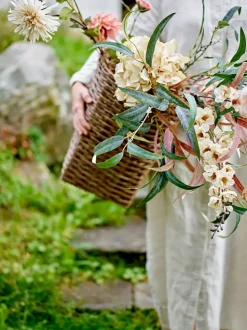 Eukalyptus Stilk Grønn