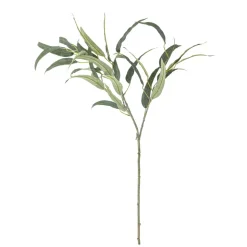 Eukalyptus Stilk Grønn