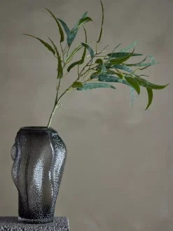 Eukalyptus Stilk Grønn