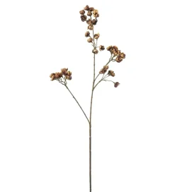 Ferskenblomst Brun H67