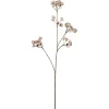 Ferskenblomst Hvit H67