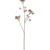 Ferskenblomst Lyselilla H67