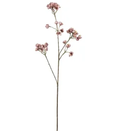 Ferskenblomst Lyselilla H67