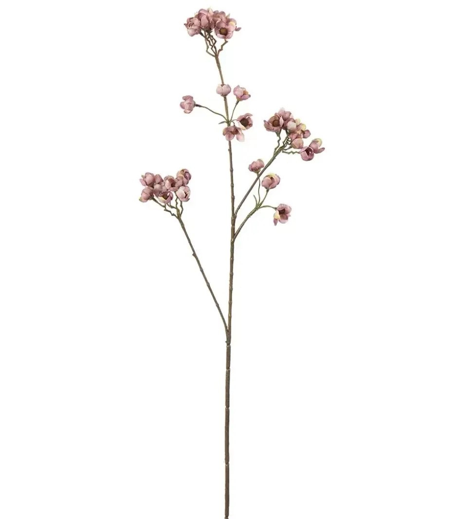 Ferskenblomst Lyselilla H67