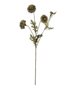 Fløyelsblomst Grønntoner H55