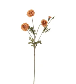 Fløyelsblomst Lys Brun H55