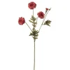Fløyelsblomst Rød H55