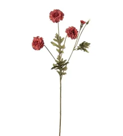 Fløyelsblomst Rød H55