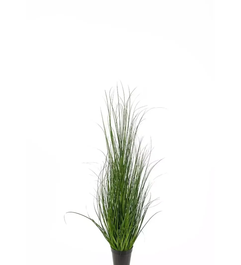 Gress H70
