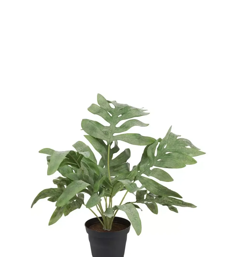 Grønn Plante H30