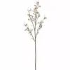 Gypsophila H90