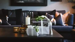Halvor Bakke Kort Dahlia Beige