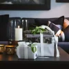 Halvor Bakke Kort Dahlia Blue