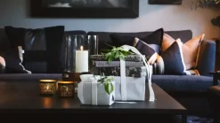 Halvor Bakke Kort Dahlia Blue