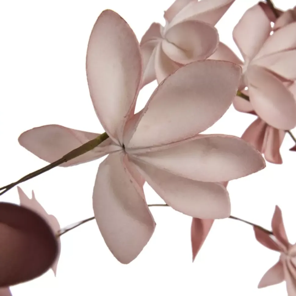 Happia Dekorblomst Rose Tan H105