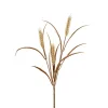 Havreblad Beige H65