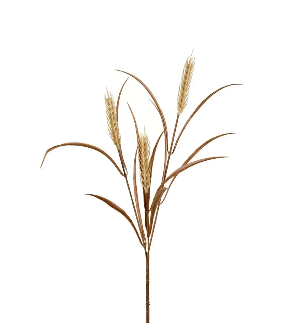 Havreblad Beige H65