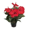 Hibiscus Rød H36
