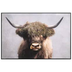 Highland Bilde