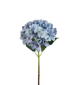 Hortensia Blå H48