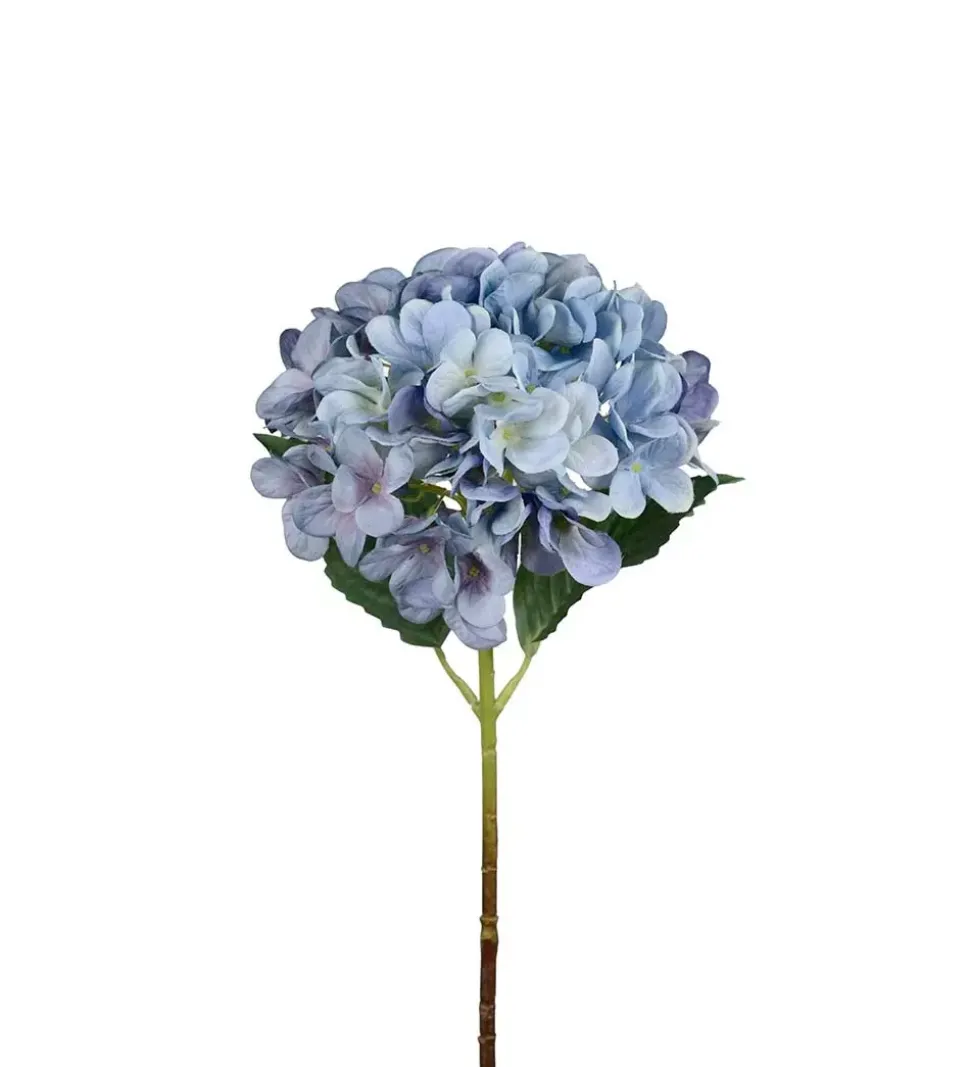 Hortensia Blå H48