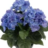 Hortensia Blå H30cm