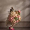 Hortensia Champagne H60