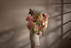 Hortensia Champagne H60