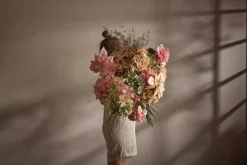 Hortensia Grønn H60