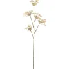 Hortensia Grønn H70
