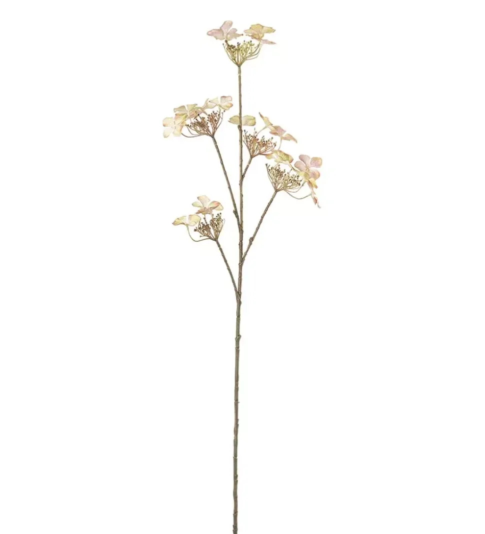Hortensia Grønn H70
