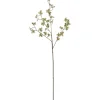 Hortensiakvist Grønn H72