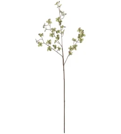 Hortensiakvist Grønn H72